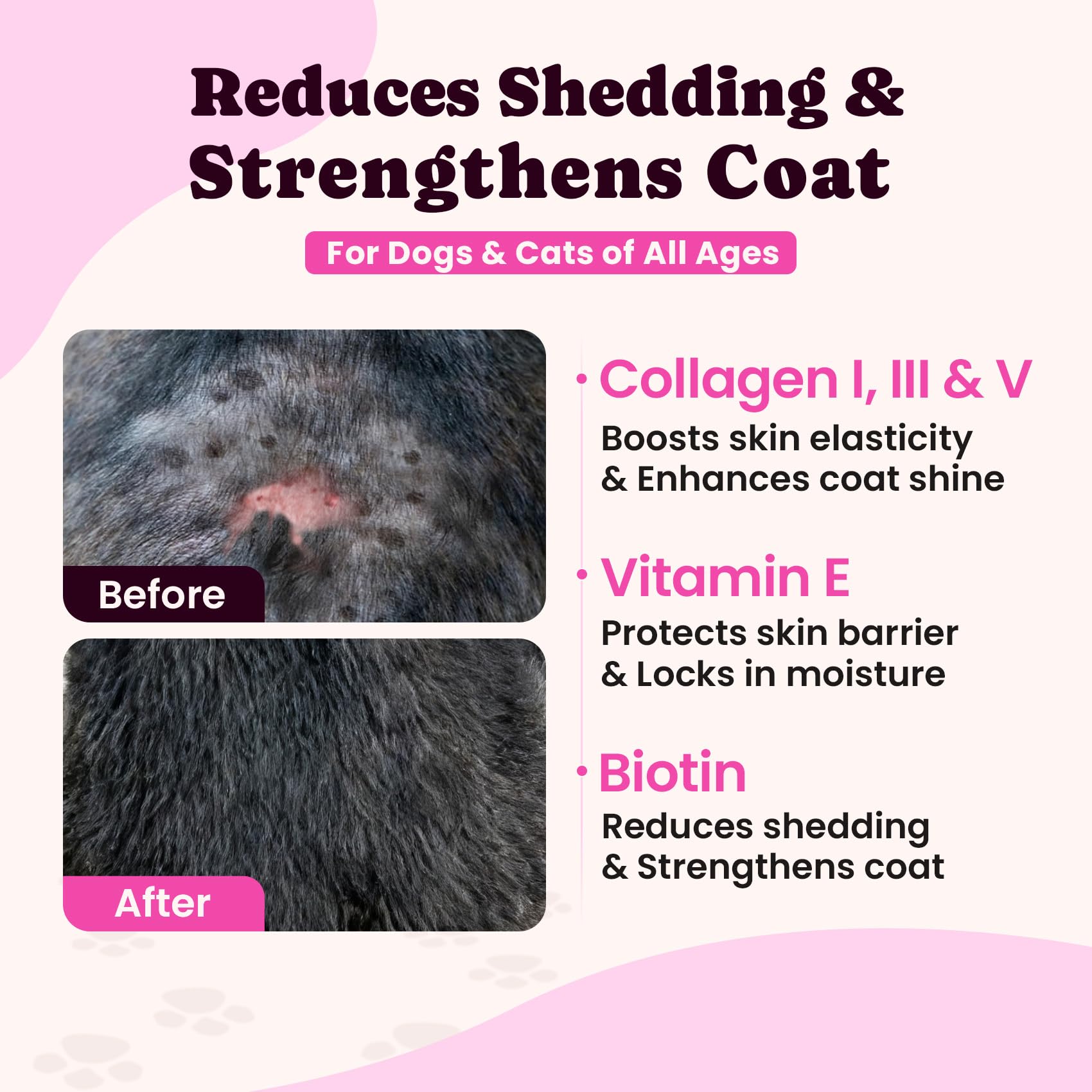 BuddyCheer collagen skin coat glow—visible sheen after daily use