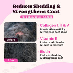 BuddyCheer collagen skin coat glow—visible sheen after daily use