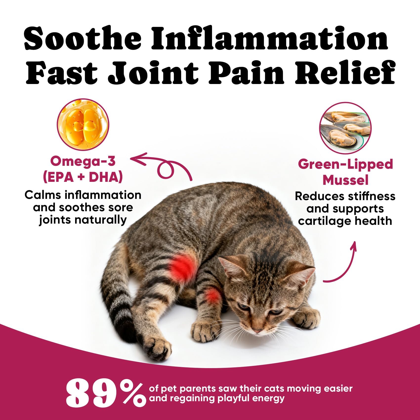 BuddyCheer crunchy exterior creamy interior chews—palatable hip care for cats