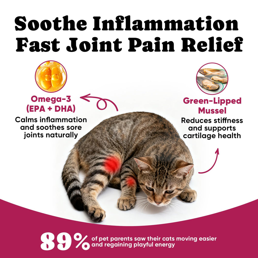 BuddyCheer crunchy exterior creamy interior chews—palatable hip care for cats