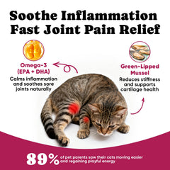 BuddyCheer crunchy exterior creamy interior chews—palatable hip care for cats