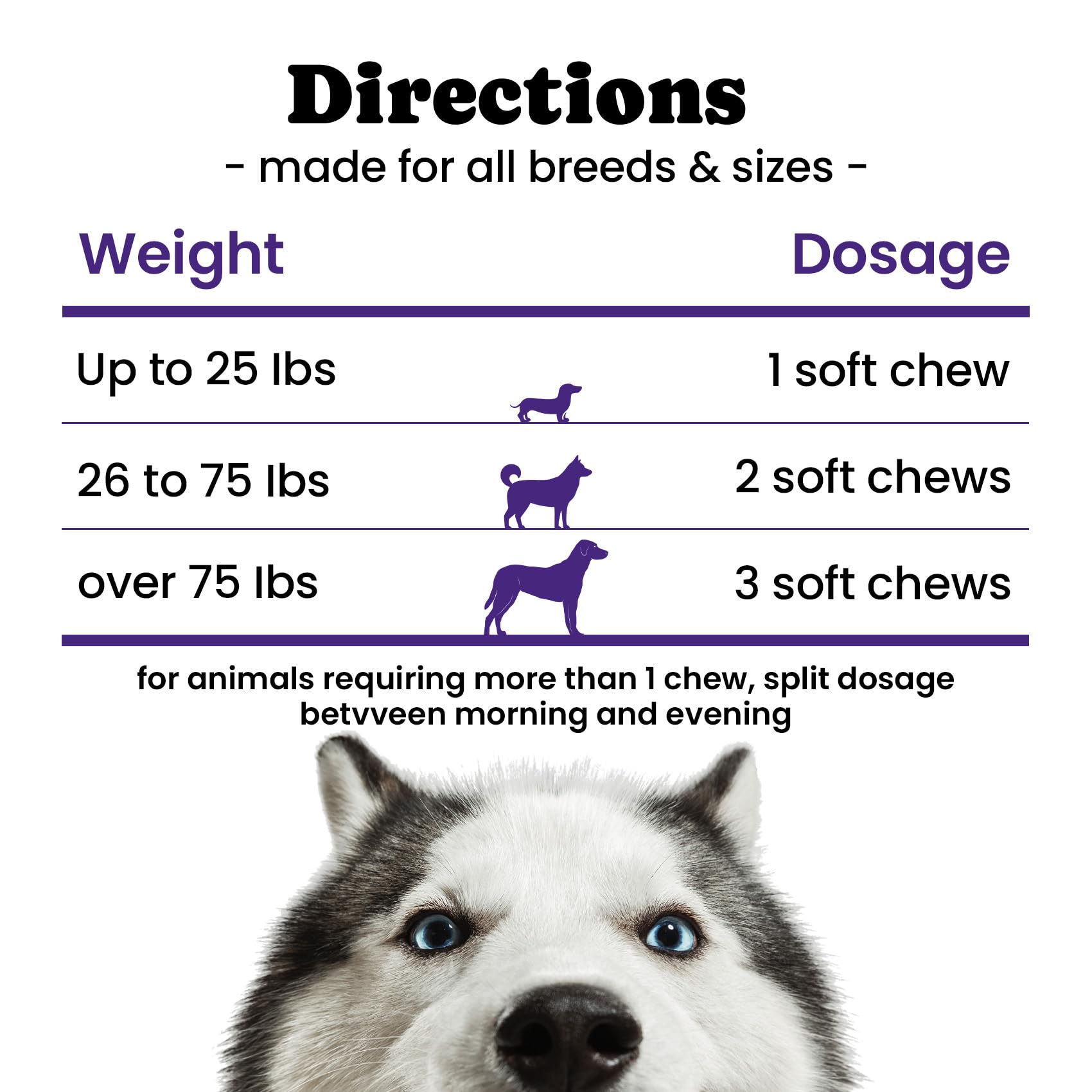 BuddyCheer dog allergy chews application beside paw print and bottle for routine care.