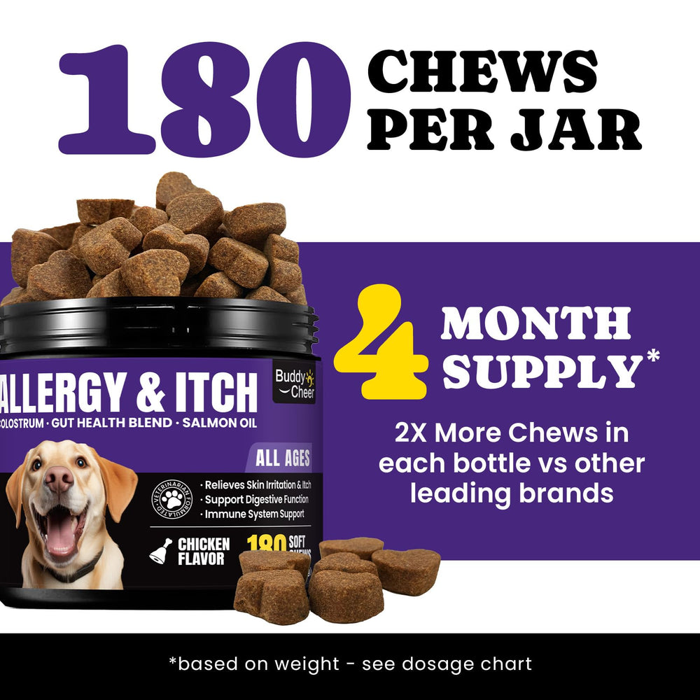 BuddyCheer dog allergy chews being offered during a mealtime for easy dosing.