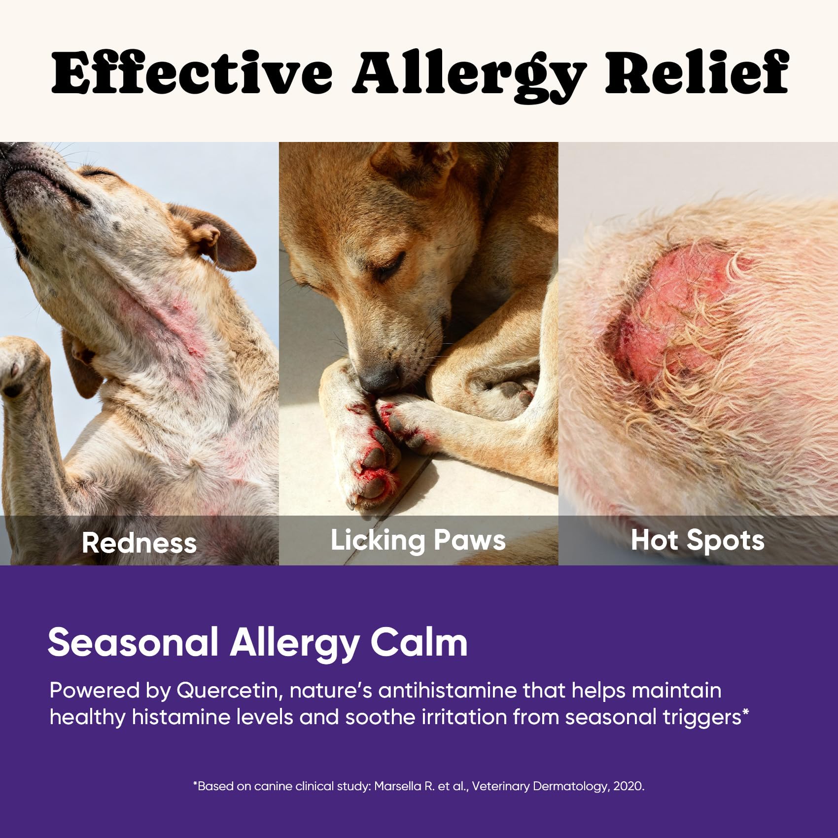 BuddyCheer dog allergy chews in use by paw demonstrates targeted itch relief.