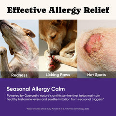 BuddyCheer dog allergy chews in use by paw demonstrates targeted itch relief.