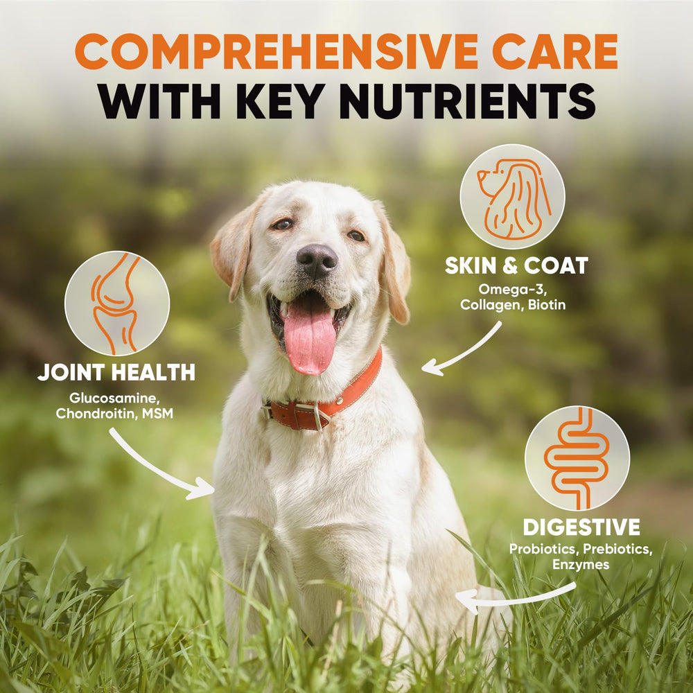 BuddyCheer gut health probiotics image highlights multi-strain probiotics and enzymes aiding digestion.