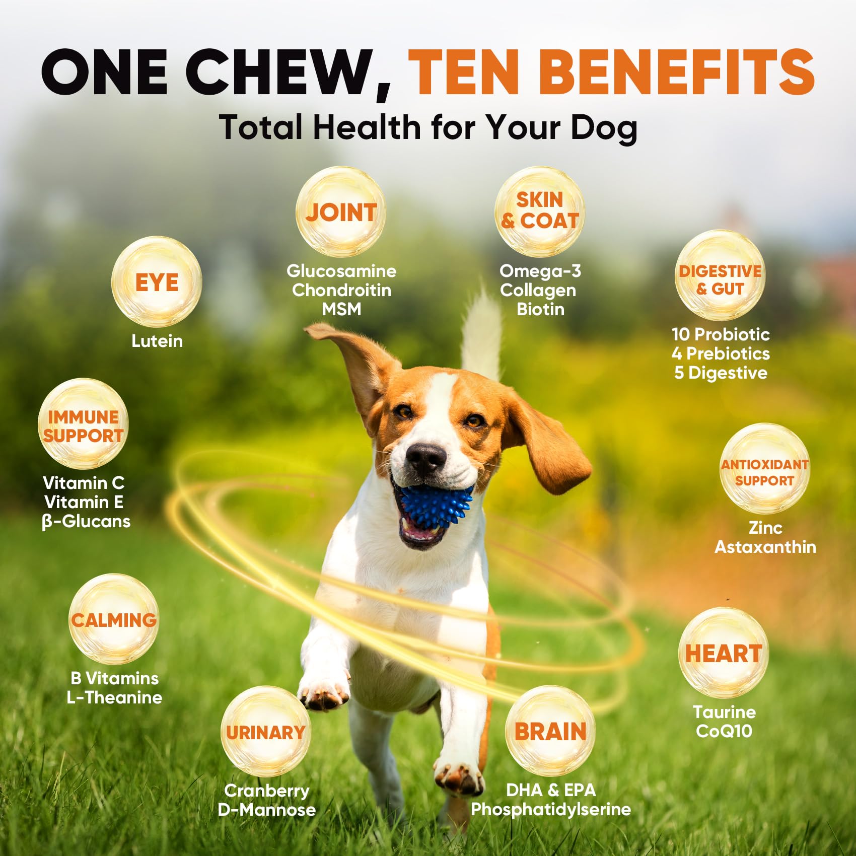 BuddyCheer joint-support chews closeup highlights mobility-friendly formula for active dogs.