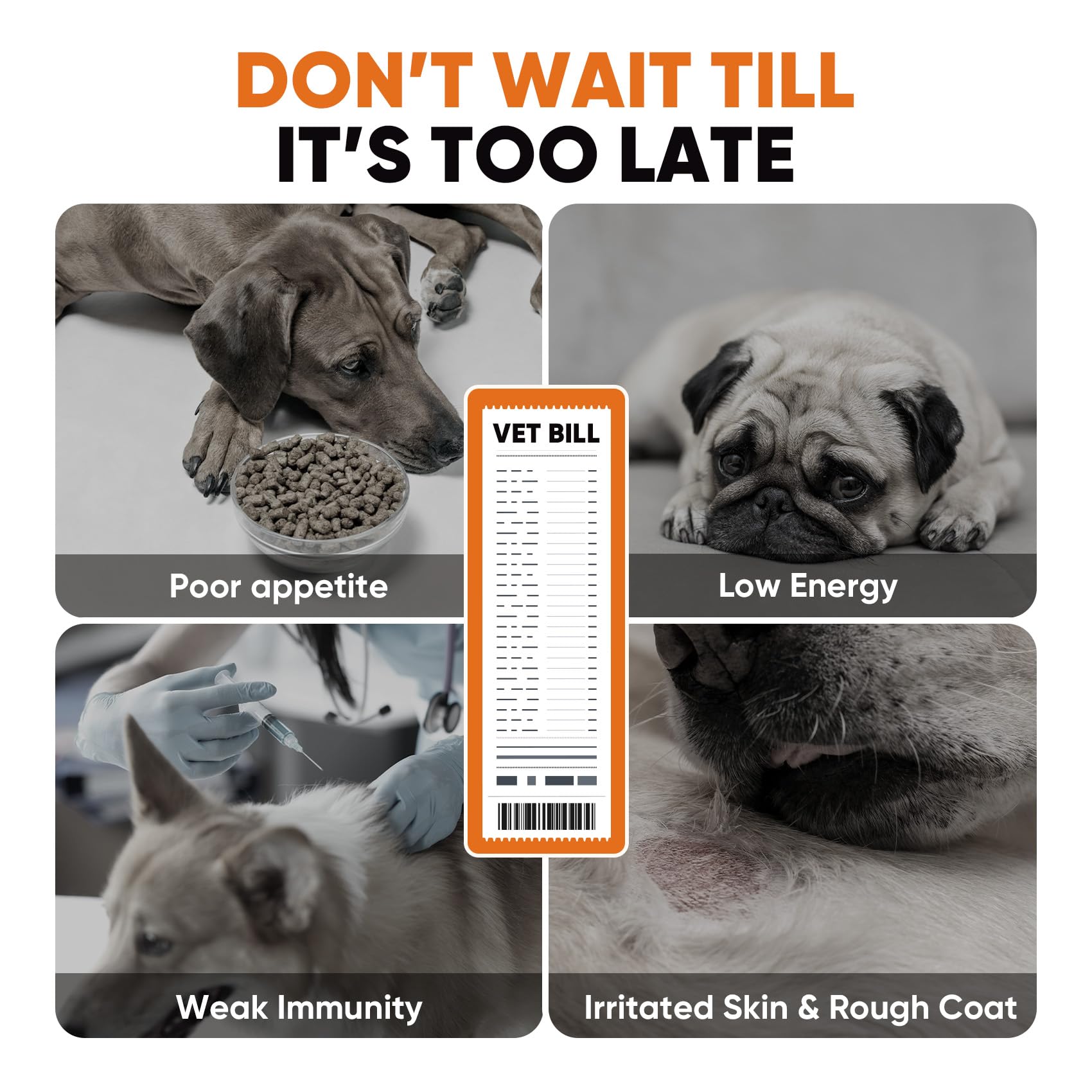 BuddyCheer life stages chews image conveys suitability from puppy to senior.