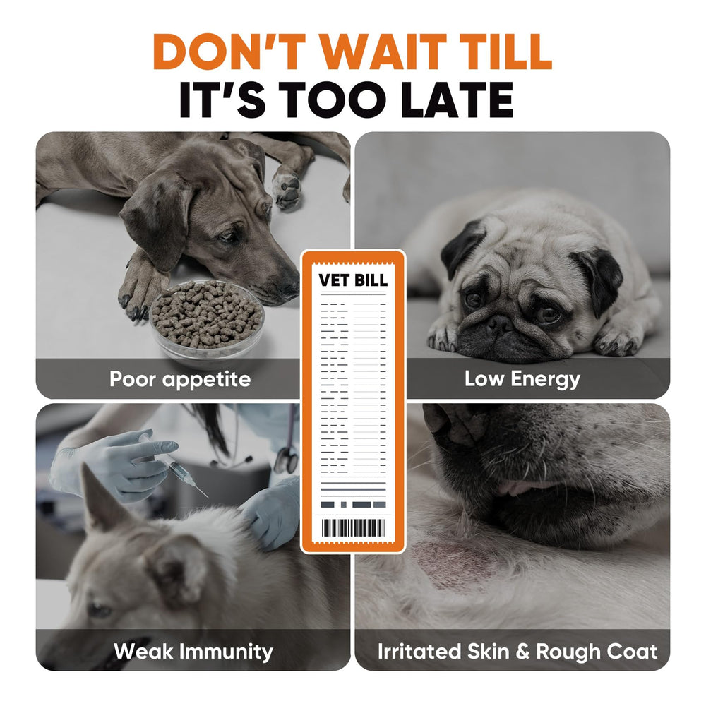 BuddyCheer life stages chews image conveys suitability from puppy to senior.