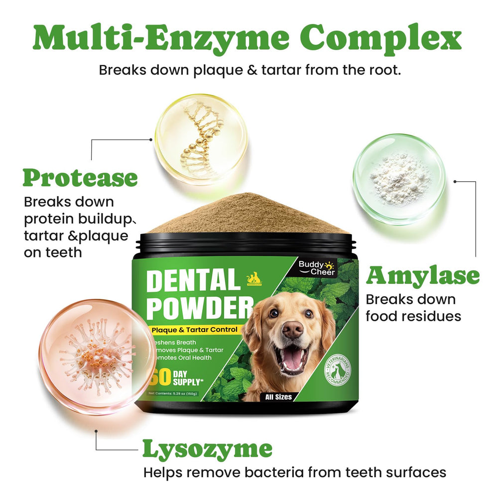 BuddyCheer dog teeth powder being mixed into dog meal for easy use