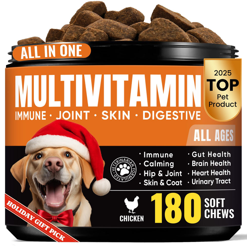 BuddyCheer dog multivitamin soft chews bottle shows daily joint support and balanced wellness.