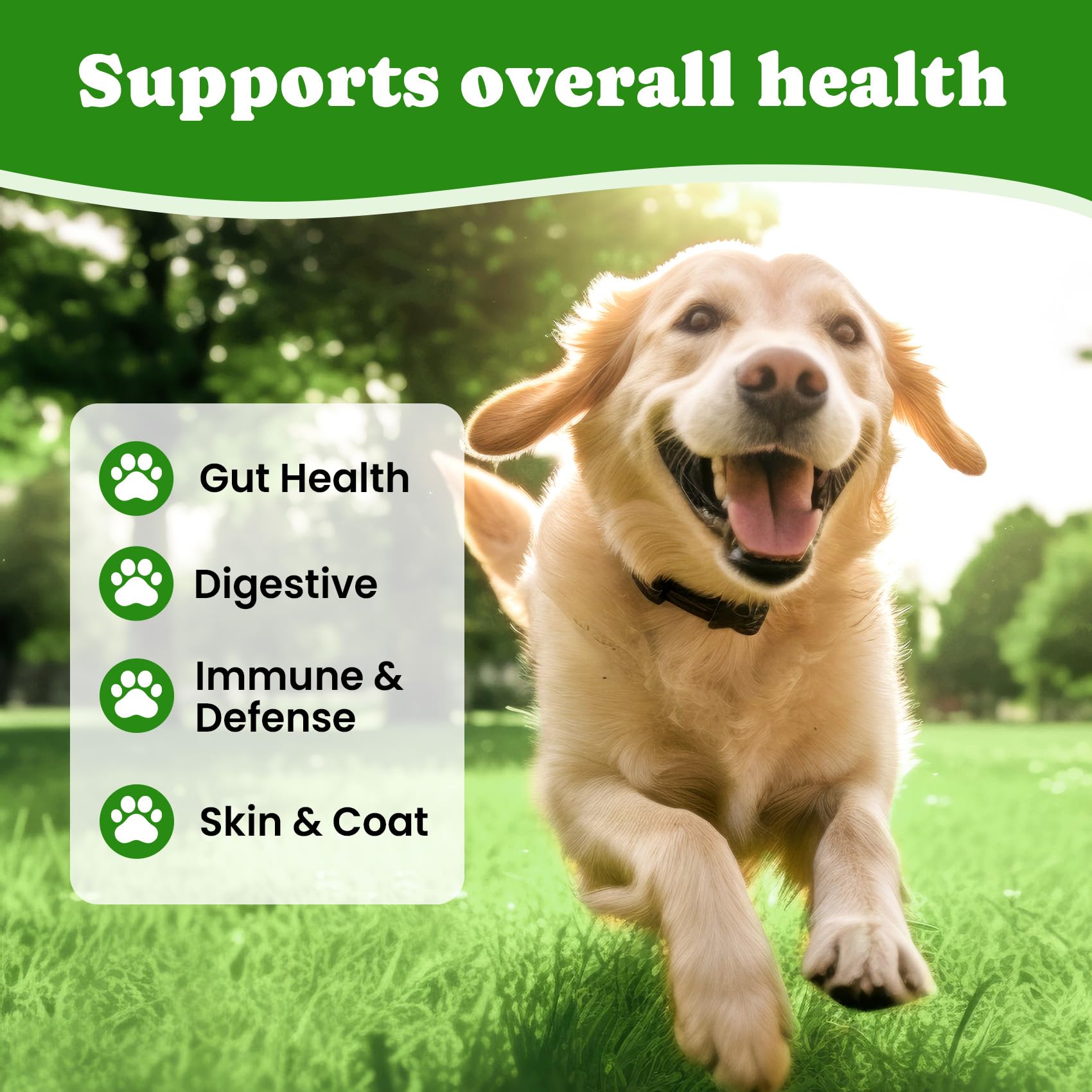 BuddyCheer probiotics enzymes icons emphasizing digestion of protein, fats, and fiber.