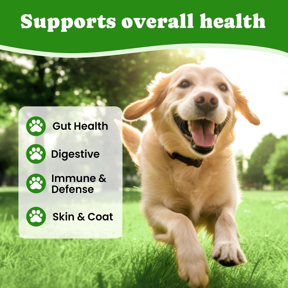 BuddyCheer probiotics enzymes icons emphasizing digestion of protein, fats, and fiber.