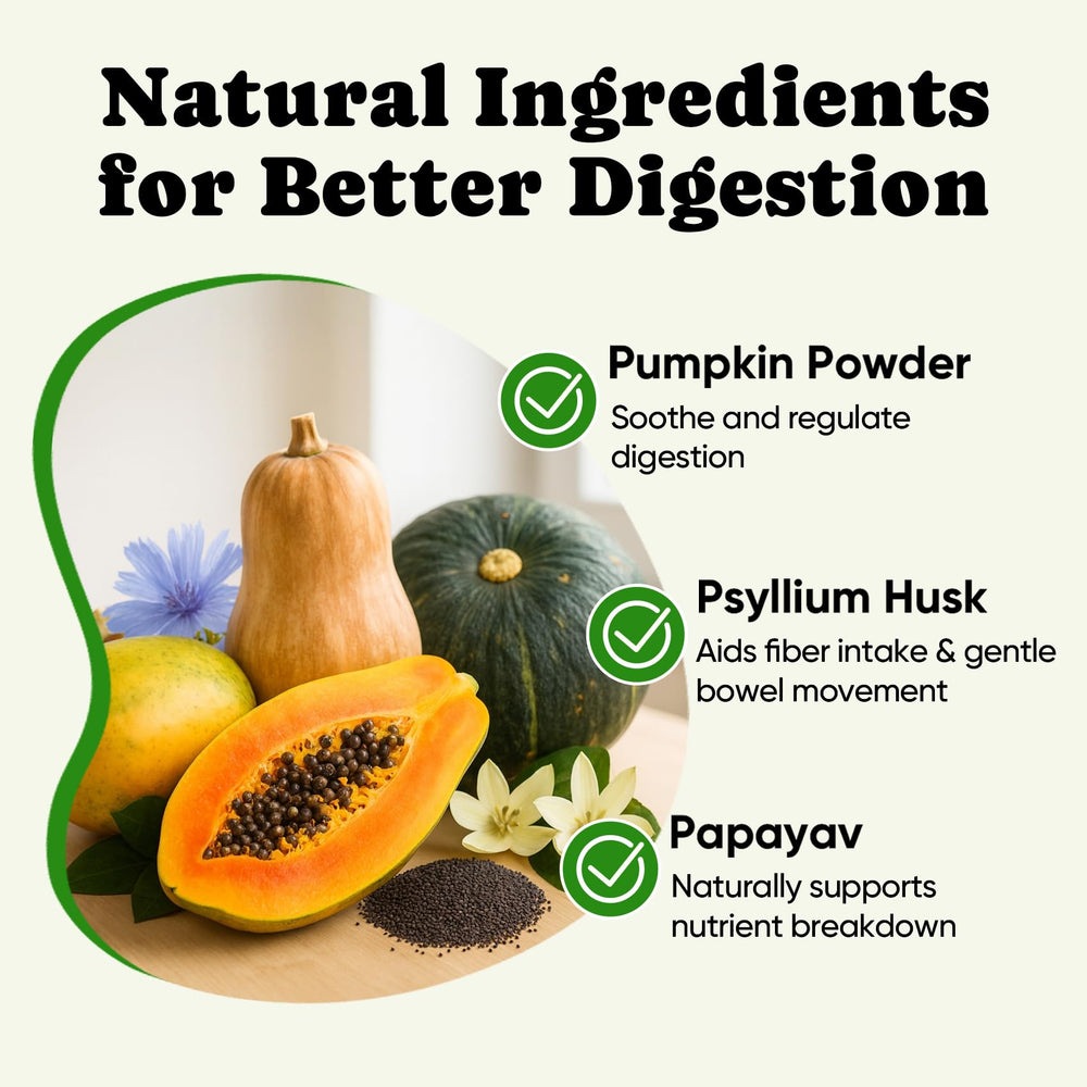 BuddyCheer ingredients illustration highlighting 11 strains, 4 prebiotics, 5 enzymes.