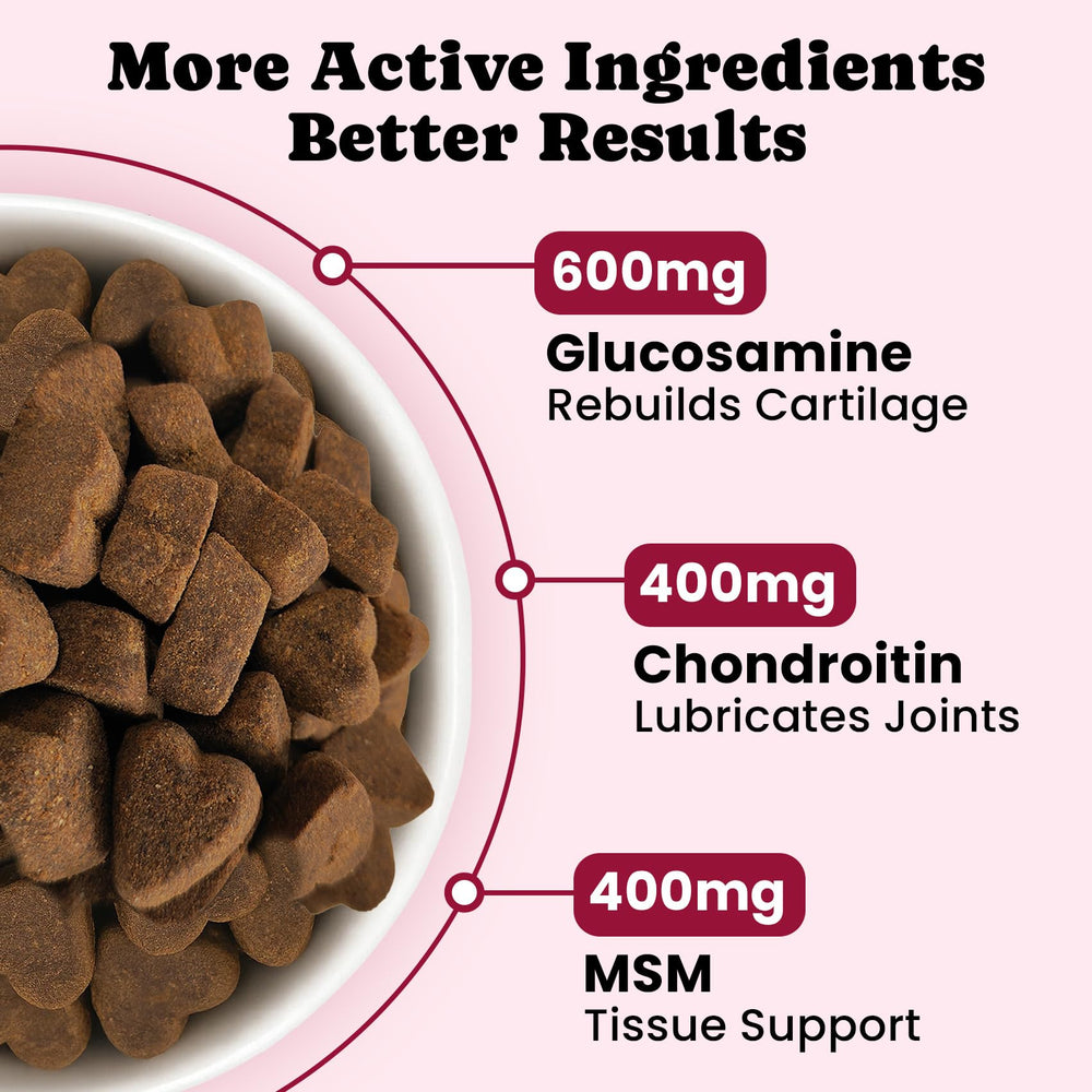 BuddyCheer hyaluronic acid dog supplement ingredients image emphasizes cartilage lubrication.
