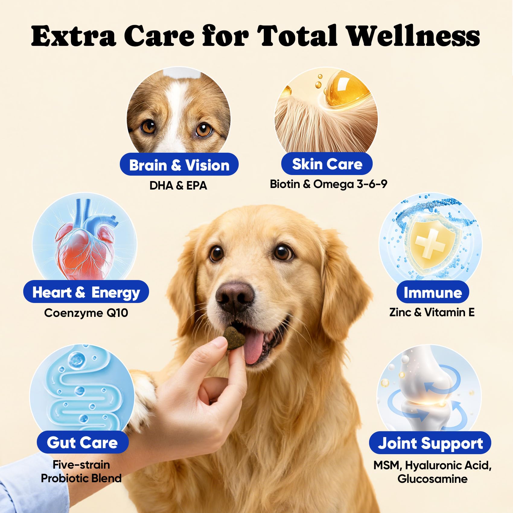 BuddyCheer joint, heart, gut support image communicates multi-benefit dog oil