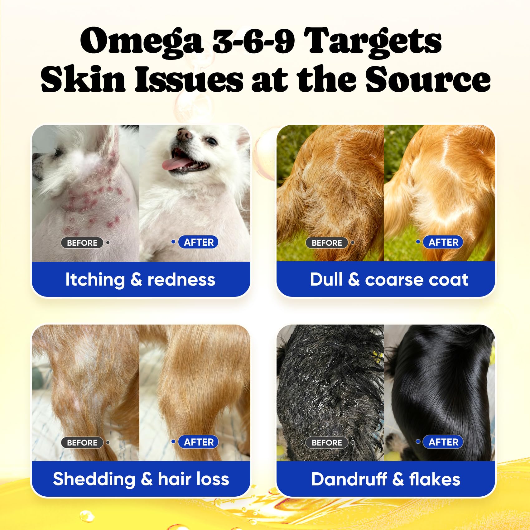 BuddyCheer omega3-6-9 balance for dogs demonstrates comprehensive skin, coat, and overall vitality