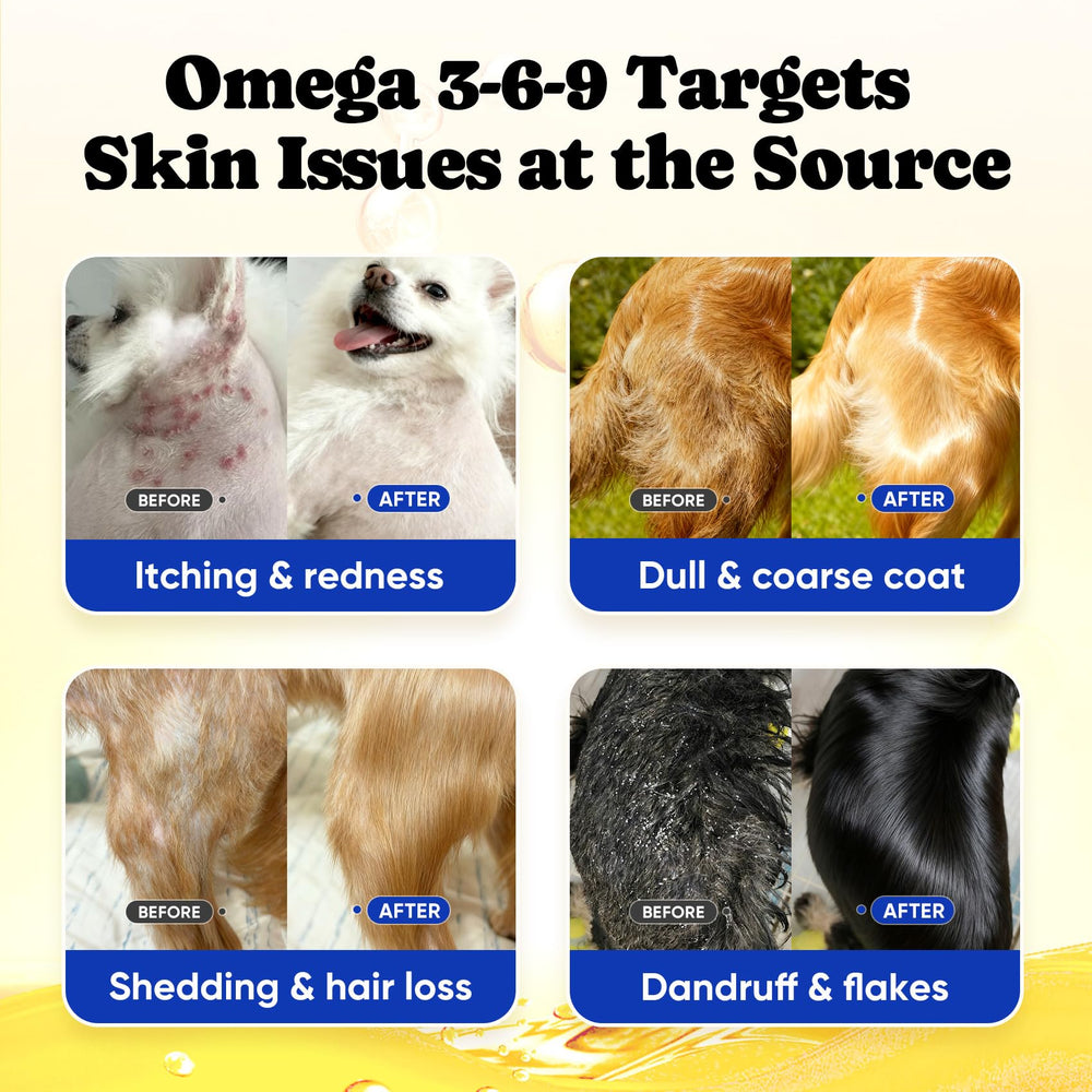 BuddyCheer omega3-6-9 balance for dogs demonstrates comprehensive skin, coat, and overall vitality