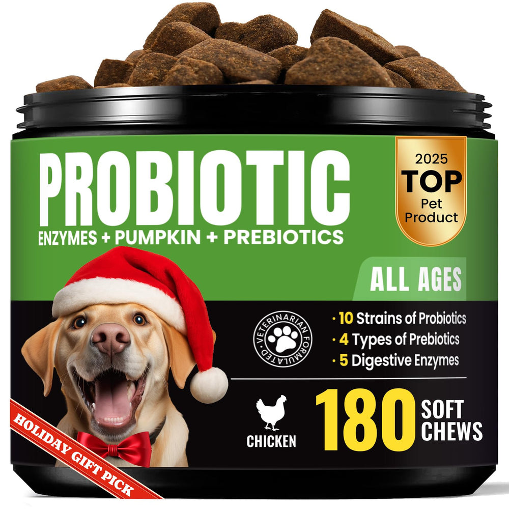 BuddyCheer Probiotics for Dogs bottle demonstrates convenient daily gut support chews.