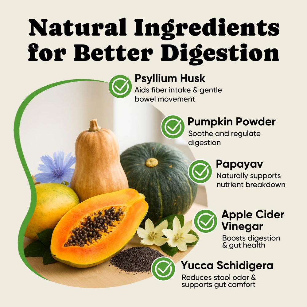 BuddyCheer Probiotics for Dogs digestive health graphic emphasizes enzyme-assisted nutrient absorption.