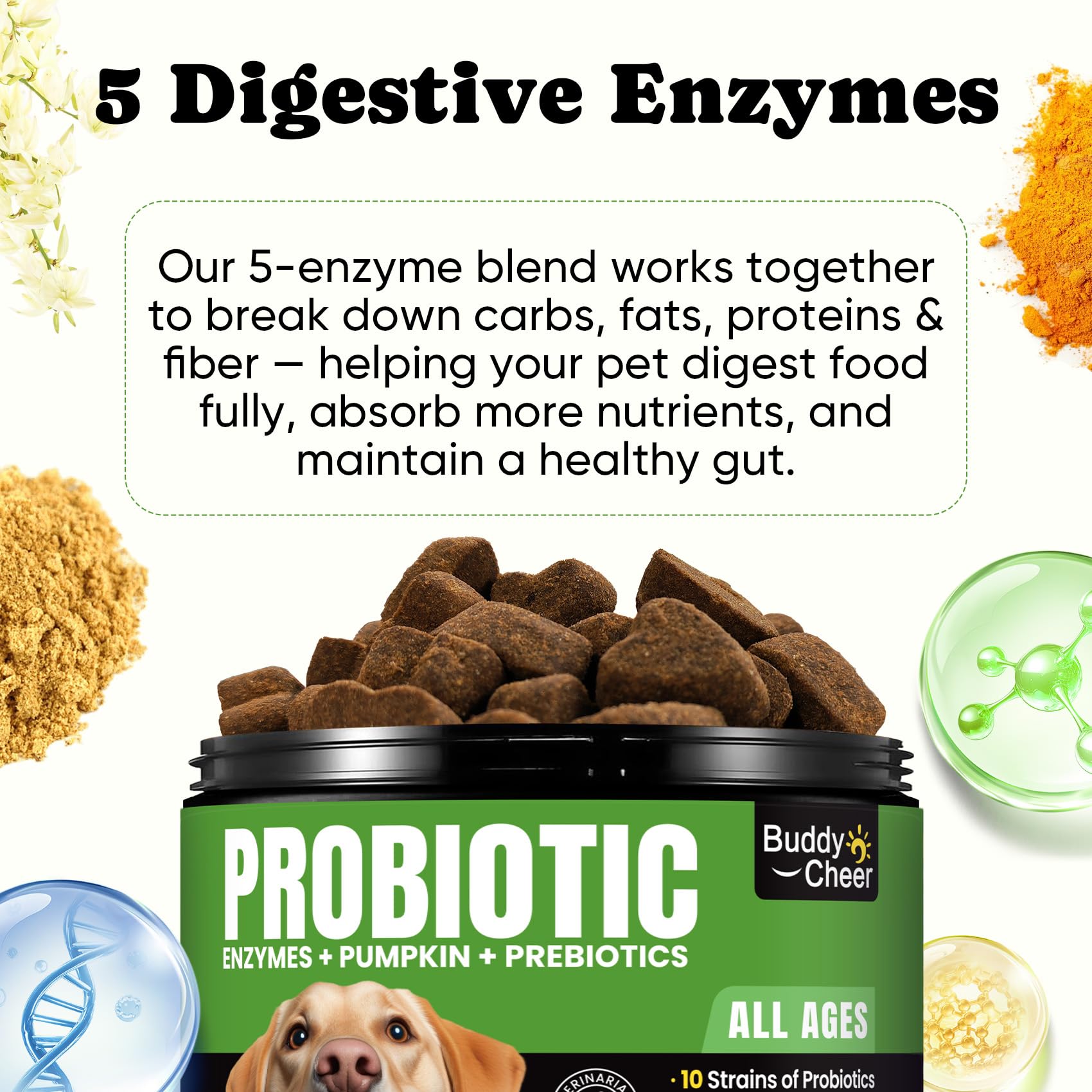 BuddyCheer Probiotics for Dogs immune-support image hints at daily wellness benefits.