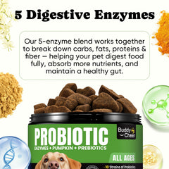BuddyCheer Probiotics for Dogs immune-support image hints at daily wellness benefits.
