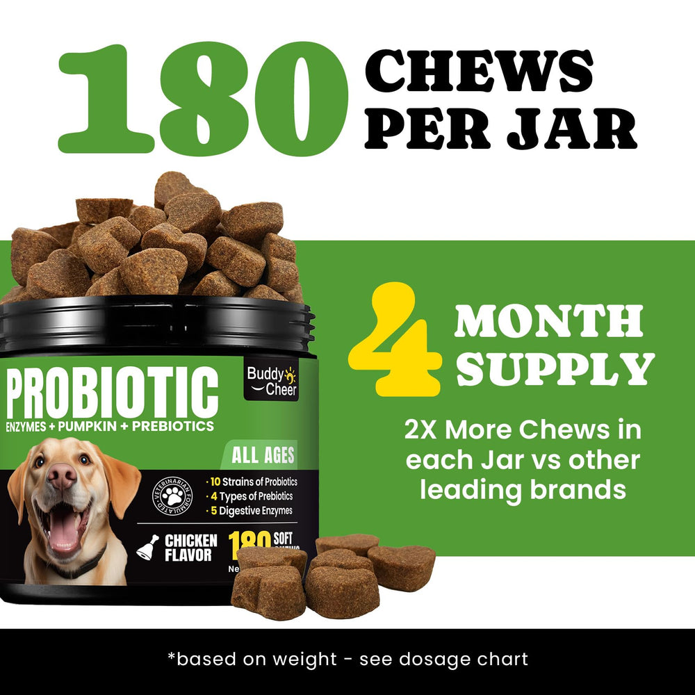 BuddyCheer Probiotics for Dogs skin relief image suggests balanced skin support.