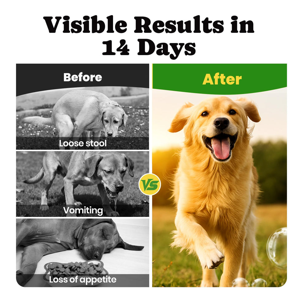 BuddyCheer Probiotics for Dogs yeast symptoms reference indicates relief for itchy ears.