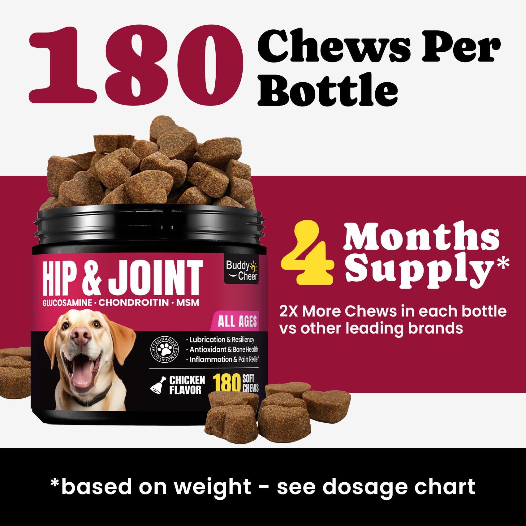 BuddyCheer strong-pet joint support helps dogs stay active.