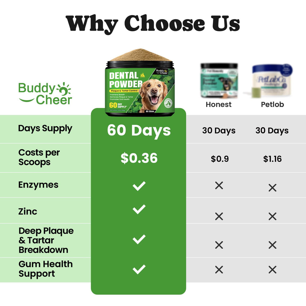 BuddyCheer tartar remover for teeth visual implying plaque reduction with daily use