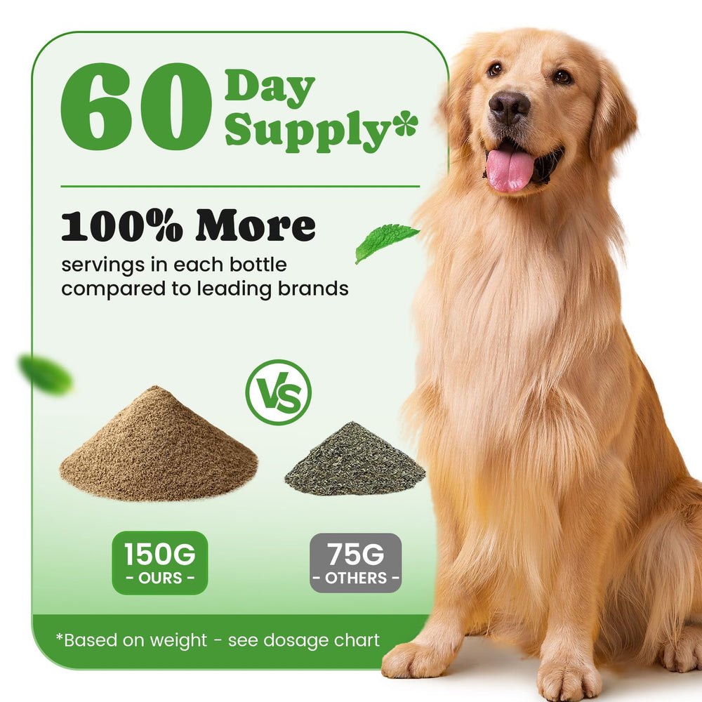BuddyCheer vet-approved dental powder for safe pet care