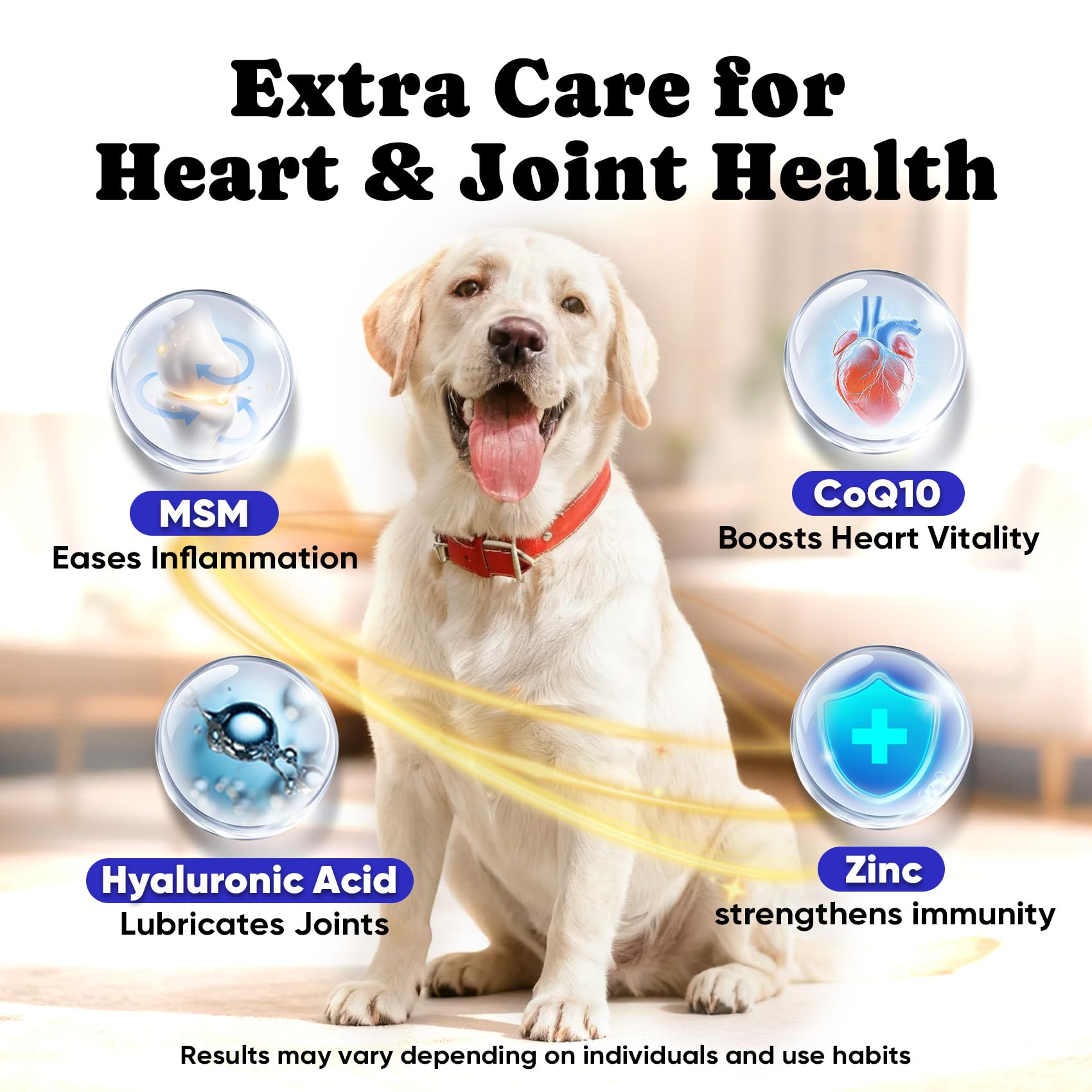 BuddyCheer Wild Alaskan Salmon Oil joint-mobility support during meals