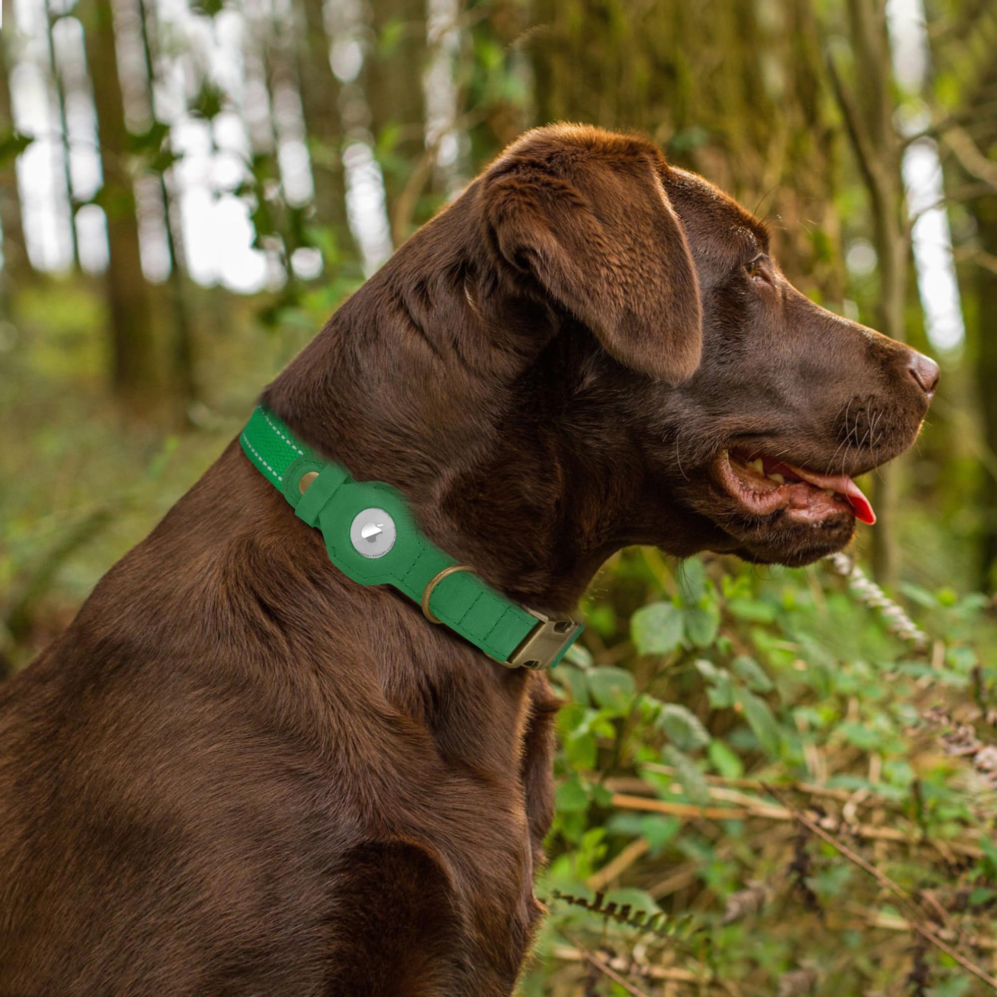 BUDKAS AirTag compatibility keeps the tracker secure and accessible.