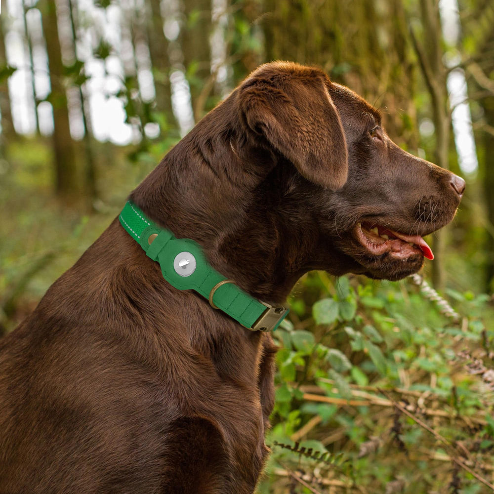 BUDKAS AirTag compatibility keeps the tracker secure and accessible.
