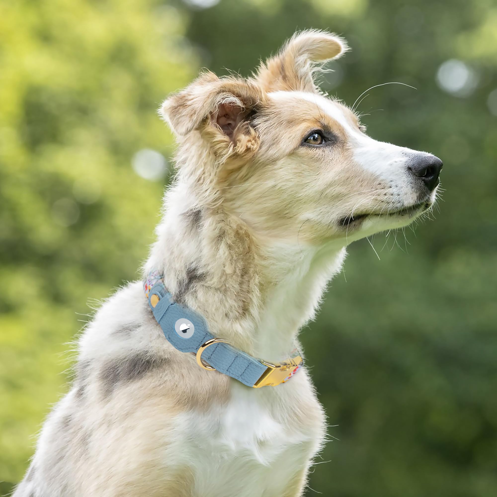 Budkas AirTag Navajo-pattern collar offers sturdy buckle for leash control