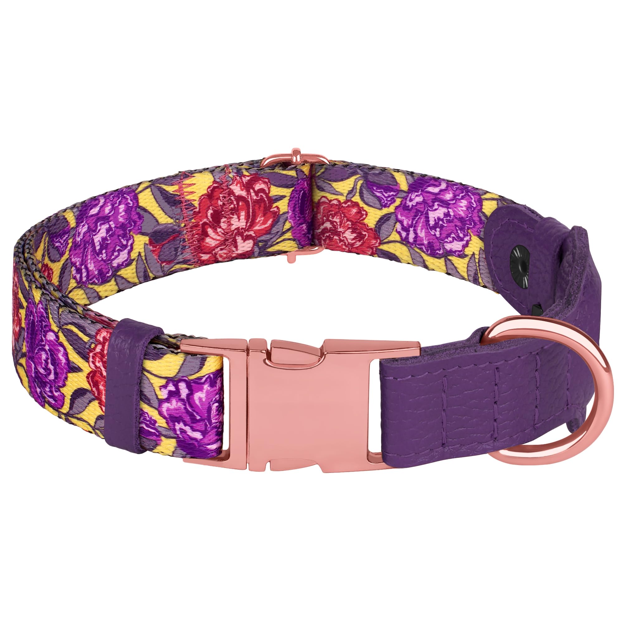 BUDKAS AirTag dog collar worn on dog illustrates everyday use and size range.