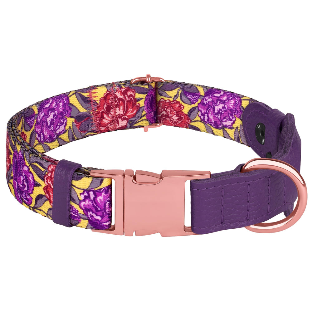 BUDKAS AirTag dog collar worn on dog illustrates everyday use and size range.