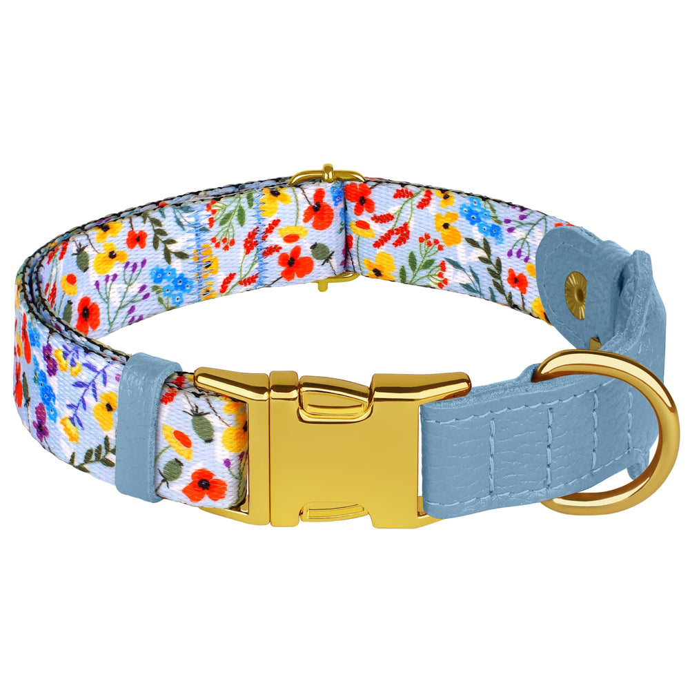 BUDKAS AirTag collar demonstrated during a walk, illustrating comfort and control.
