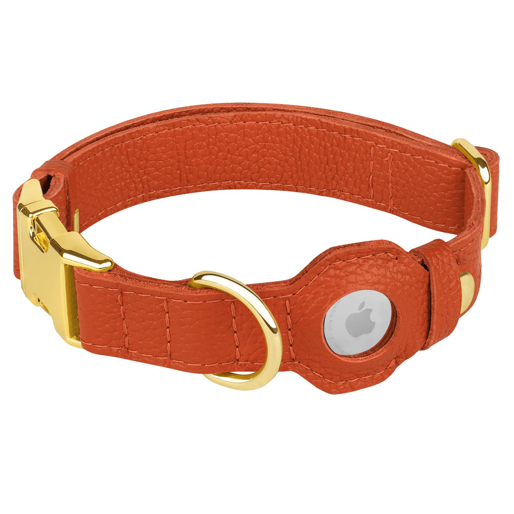 BUDKAS AirTag holder and metal buckle ensure secure fit on daily walks