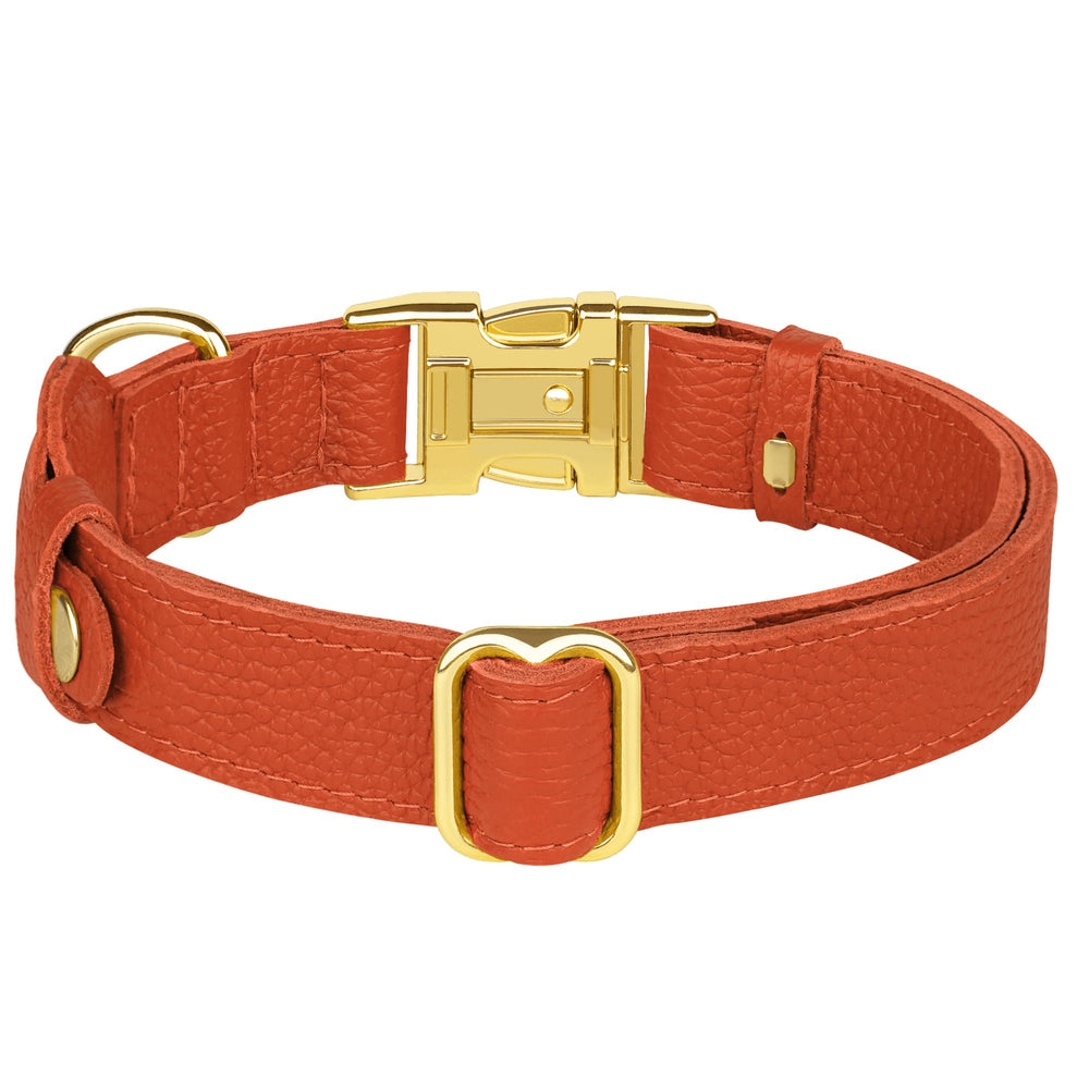 BUDKAS black leather collar delivers classic look with discreet tracking