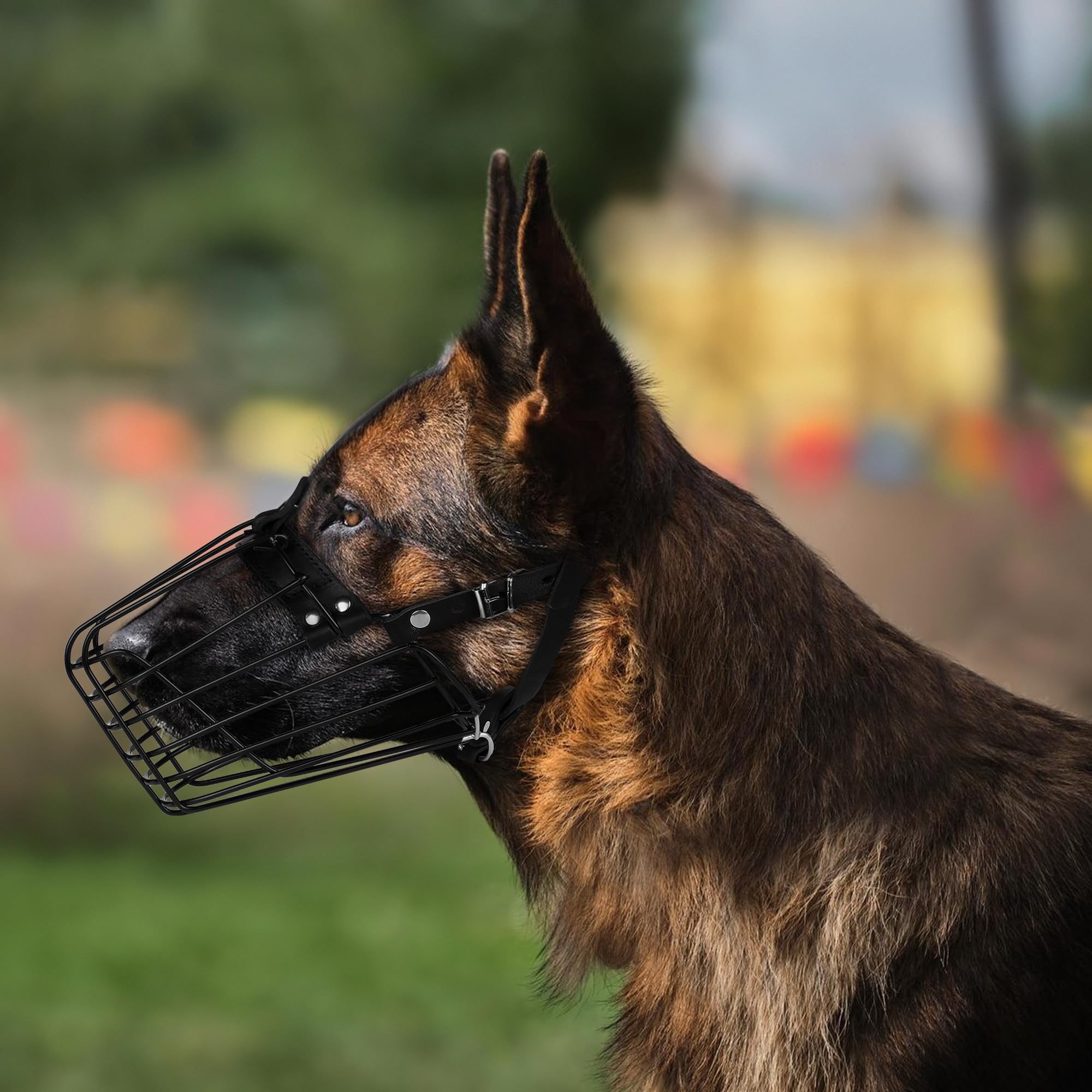 Budkas German Shepherd Muzzle gold color option for style