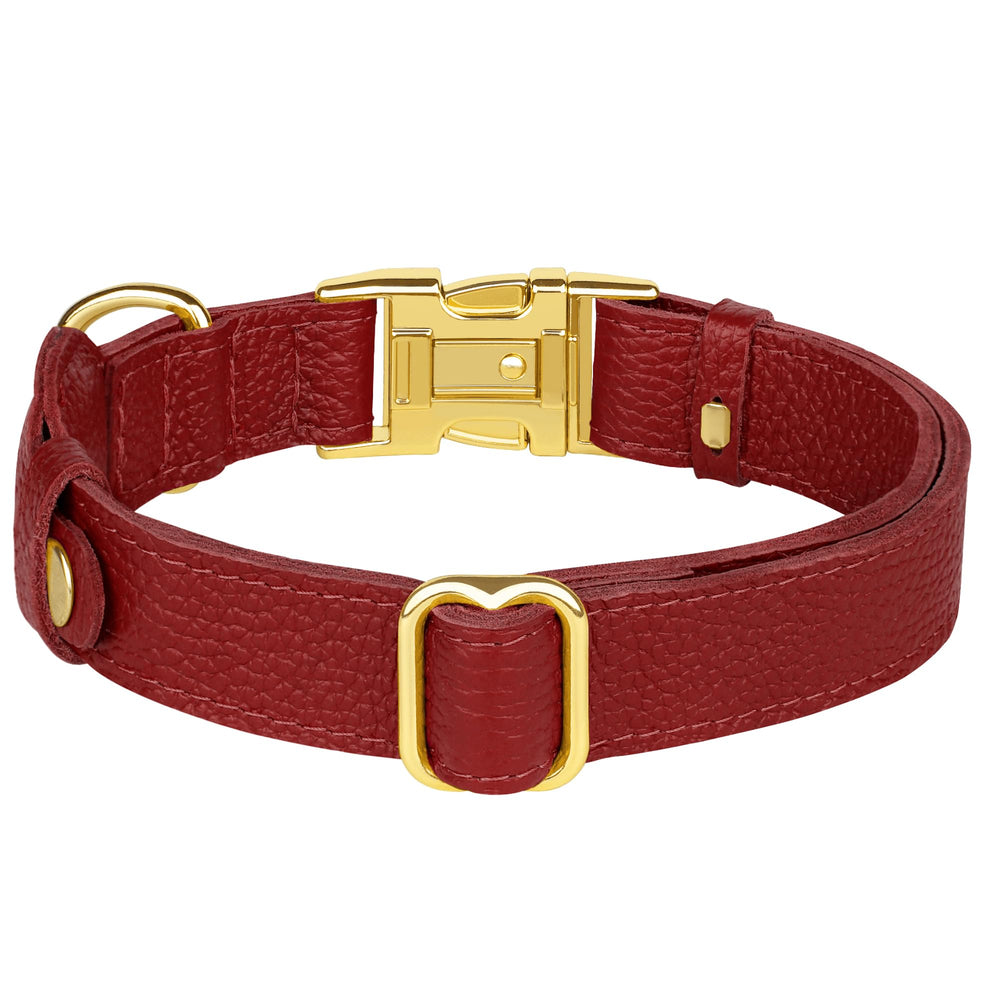 BUDKAS black leather collar offers timeless look and reliable tracking.