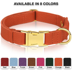 BUDKAS XS size collar designed for tiny dogs with skin-friendly leather