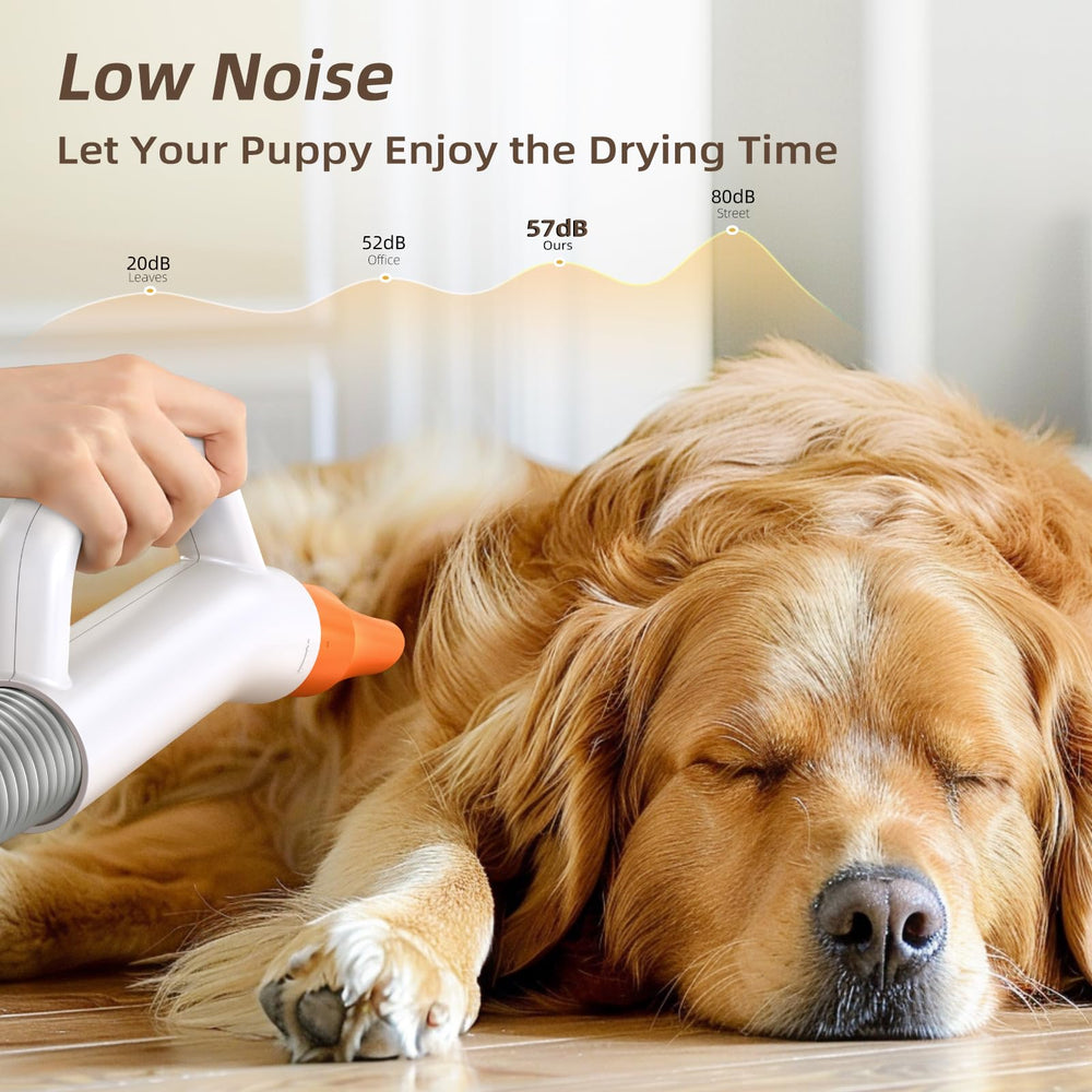 Buenkee dog blow dryer warranty packaging signals lifetime support and safety certifications.