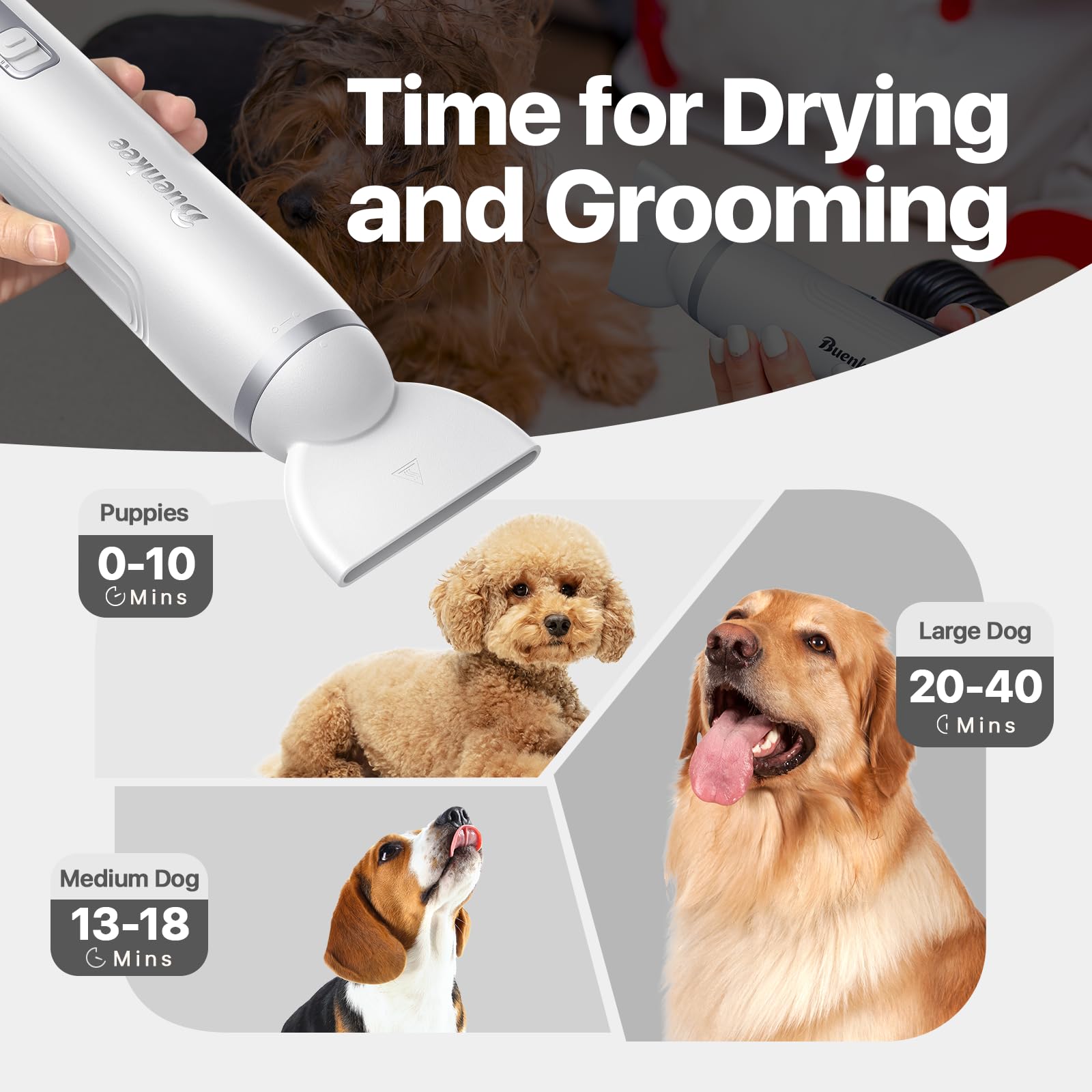 Buenkee dog dryer handheld shows 3 speeds and 4 temperature modes