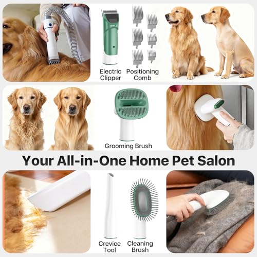 Buenkee dog grooming kit quiet-motor-50db provides calm grooming during sessions.