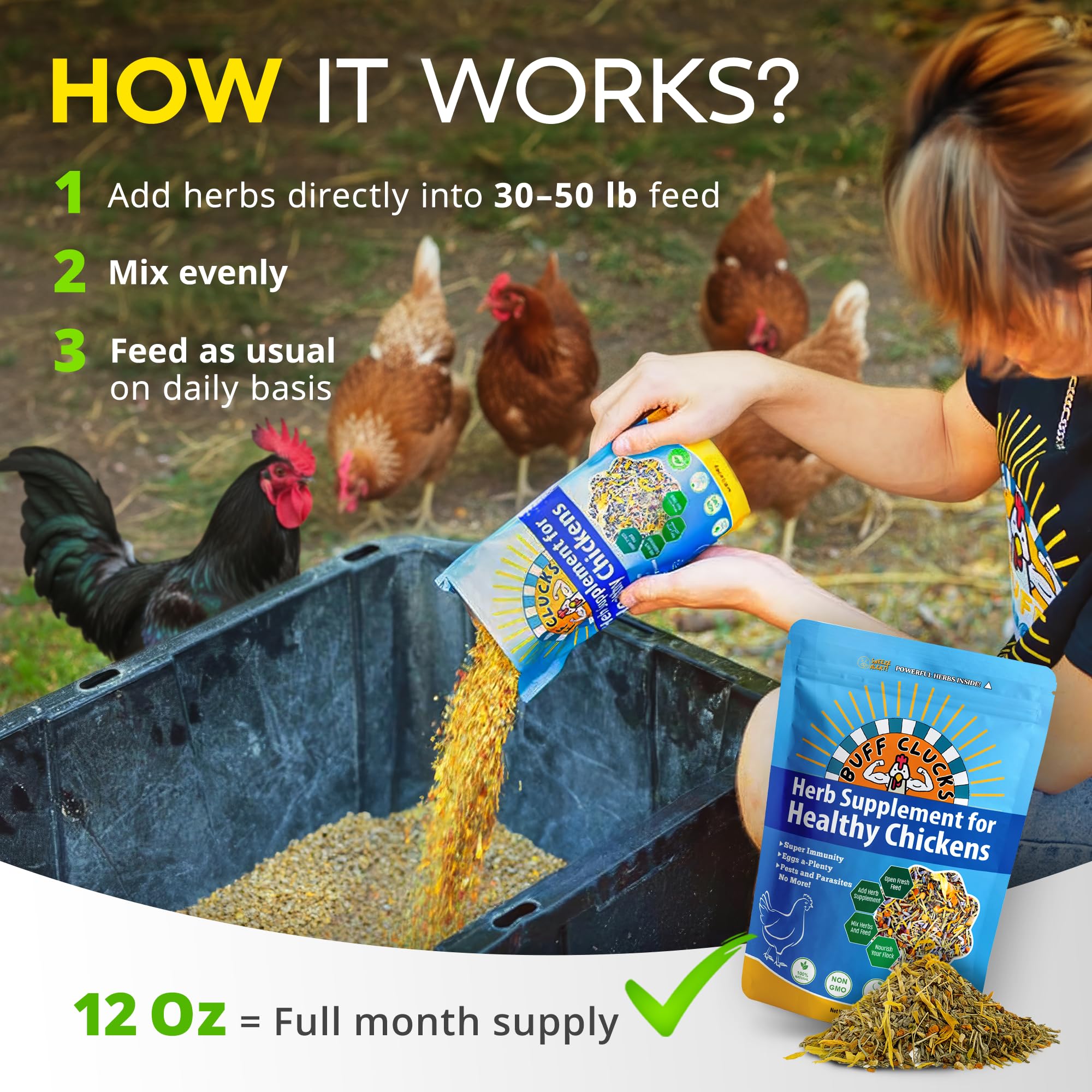 Buff Clucks nesting box snack scene emphasizes coop cleanliness and nutrition.
