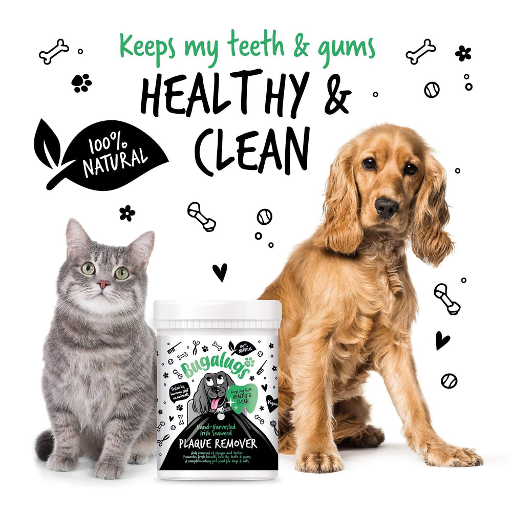 BUGALUGS Plaque Remover dog breath image hints at fresher breath potential