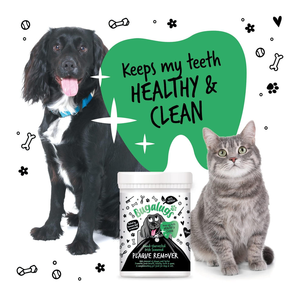 BUGALUGS Plaque Remover dog teeth closeup highlights tartar control support