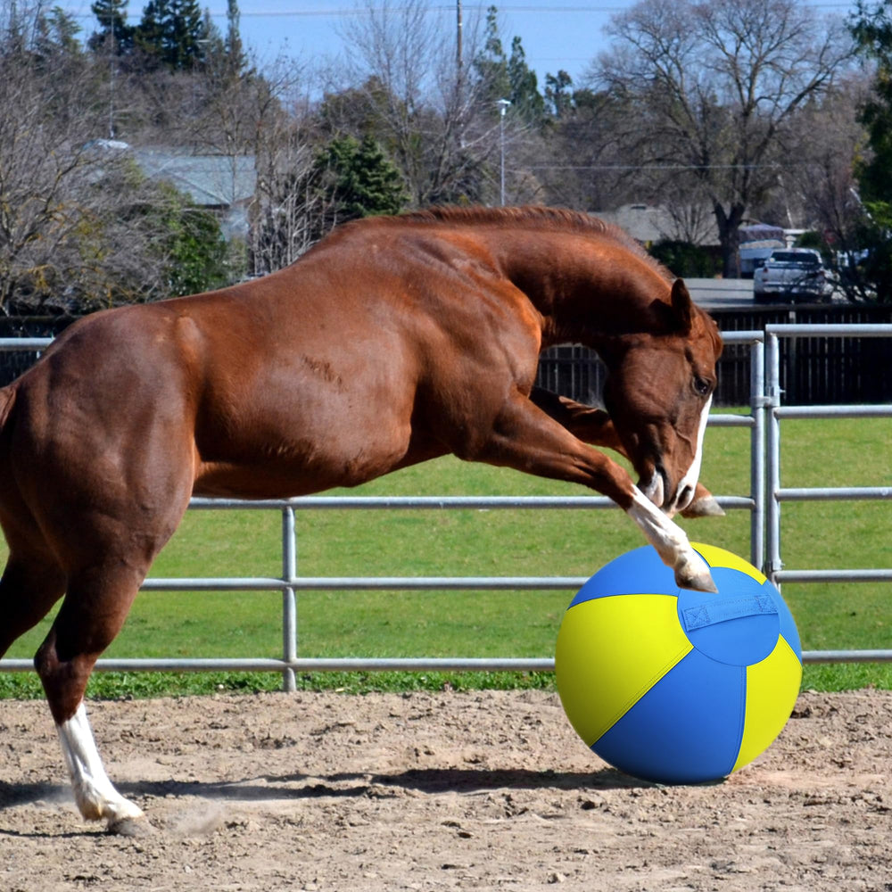 BUGARORE 26 inch blue ball suitable for dogs and horses
